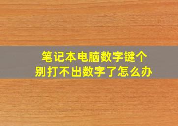 笔记本电脑数字键个别打不出数字了怎么办