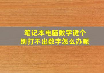 笔记本电脑数字键个别打不出数字怎么办呢