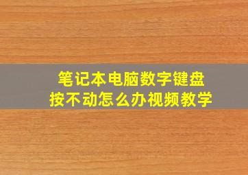 笔记本电脑数字键盘按不动怎么办视频教学