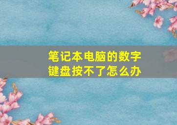 笔记本电脑的数字键盘按不了怎么办