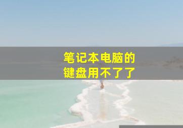 笔记本电脑的键盘用不了了