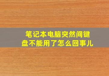 笔记本电脑突然间键盘不能用了怎么回事儿