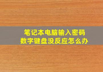 笔记本电脑输入密码数字键盘没反应怎么办