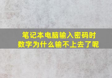 笔记本电脑输入密码时数字为什么输不上去了呢