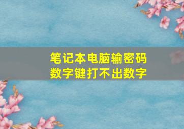 笔记本电脑输密码数字键打不出数字