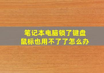 笔记本电脑锁了键盘鼠标也用不了了怎么办