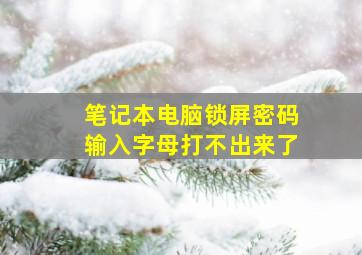 笔记本电脑锁屏密码输入字母打不出来了