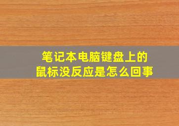 笔记本电脑键盘上的鼠标没反应是怎么回事