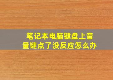 笔记本电脑键盘上音量键点了没反应怎么办