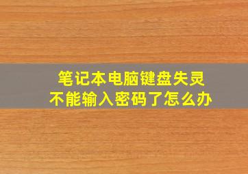 笔记本电脑键盘失灵不能输入密码了怎么办