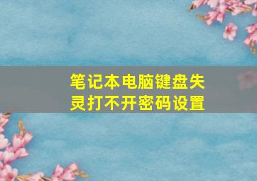 笔记本电脑键盘失灵打不开密码设置