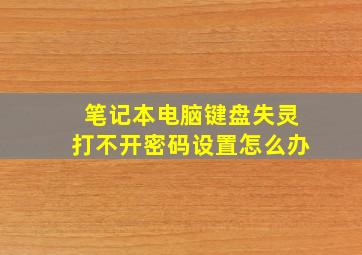 笔记本电脑键盘失灵打不开密码设置怎么办