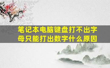 笔记本电脑键盘打不出字母只能打出数字什么原因