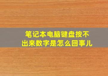 笔记本电脑键盘按不出来数字是怎么回事儿