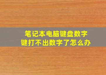 笔记本电脑键盘数字键打不出数字了怎么办