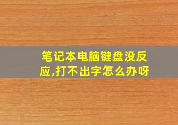 笔记本电脑键盘没反应,打不出字怎么办呀