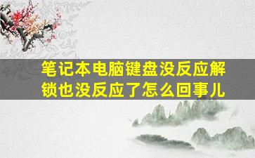 笔记本电脑键盘没反应解锁也没反应了怎么回事儿