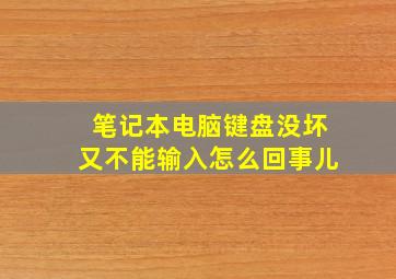 笔记本电脑键盘没坏又不能输入怎么回事儿