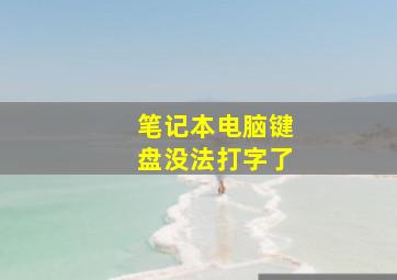 笔记本电脑键盘没法打字了