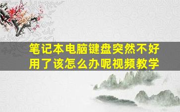 笔记本电脑键盘突然不好用了该怎么办呢视频教学