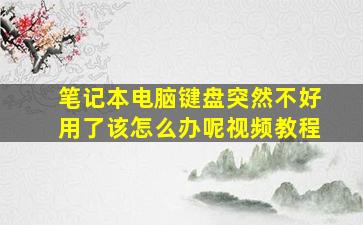 笔记本电脑键盘突然不好用了该怎么办呢视频教程