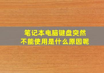 笔记本电脑键盘突然不能使用是什么原因呢