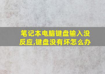 笔记本电脑键盘输入没反应,键盘没有坏怎么办