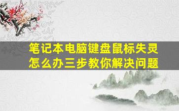 笔记本电脑键盘鼠标失灵怎么办三步教你解决问题