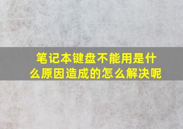 笔记本键盘不能用是什么原因造成的怎么解决呢