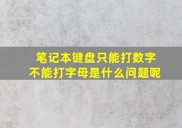 笔记本键盘只能打数字不能打字母是什么问题呢