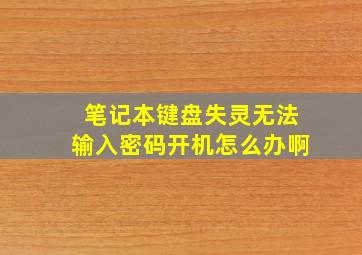 笔记本键盘失灵无法输入密码开机怎么办啊