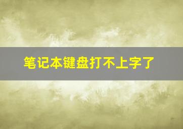 笔记本键盘打不上字了