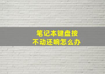 笔记本键盘按不动还响怎么办