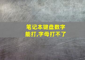 笔记本键盘数字能打,字母打不了