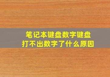 笔记本键盘数字键盘打不出数字了什么原因