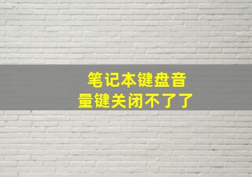 笔记本键盘音量键关闭不了了