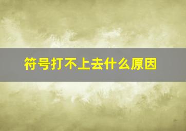 符号打不上去什么原因