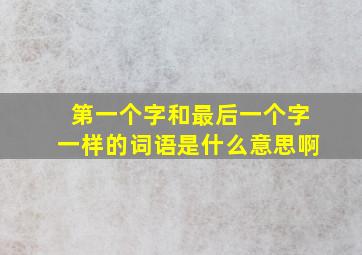 第一个字和最后一个字一样的词语是什么意思啊