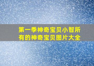 第一季神奇宝贝小智所有的神奇宝贝图片大全