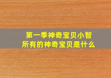 第一季神奇宝贝小智所有的神奇宝贝是什么