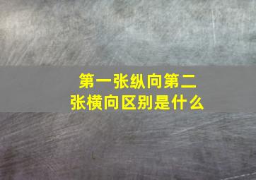 第一张纵向第二张横向区别是什么