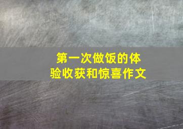 第一次做饭的体验收获和惊喜作文