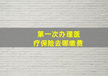 第一次办理医疗保险去哪缴费