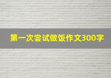 第一次尝试做饭作文300字