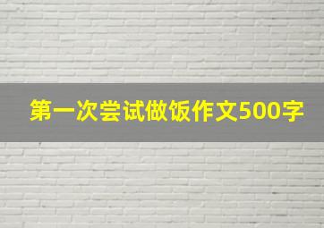 第一次尝试做饭作文500字