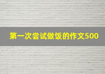 第一次尝试做饭的作文500