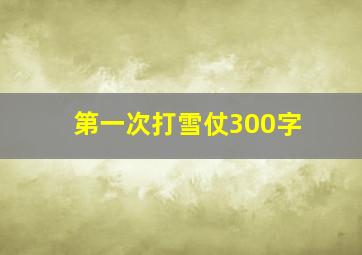 第一次打雪仗300字