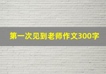 第一次见到老师作文300字