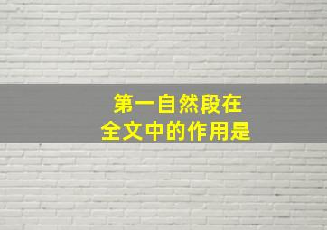 第一自然段在全文中的作用是