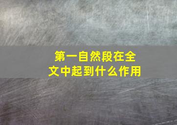 第一自然段在全文中起到什么作用